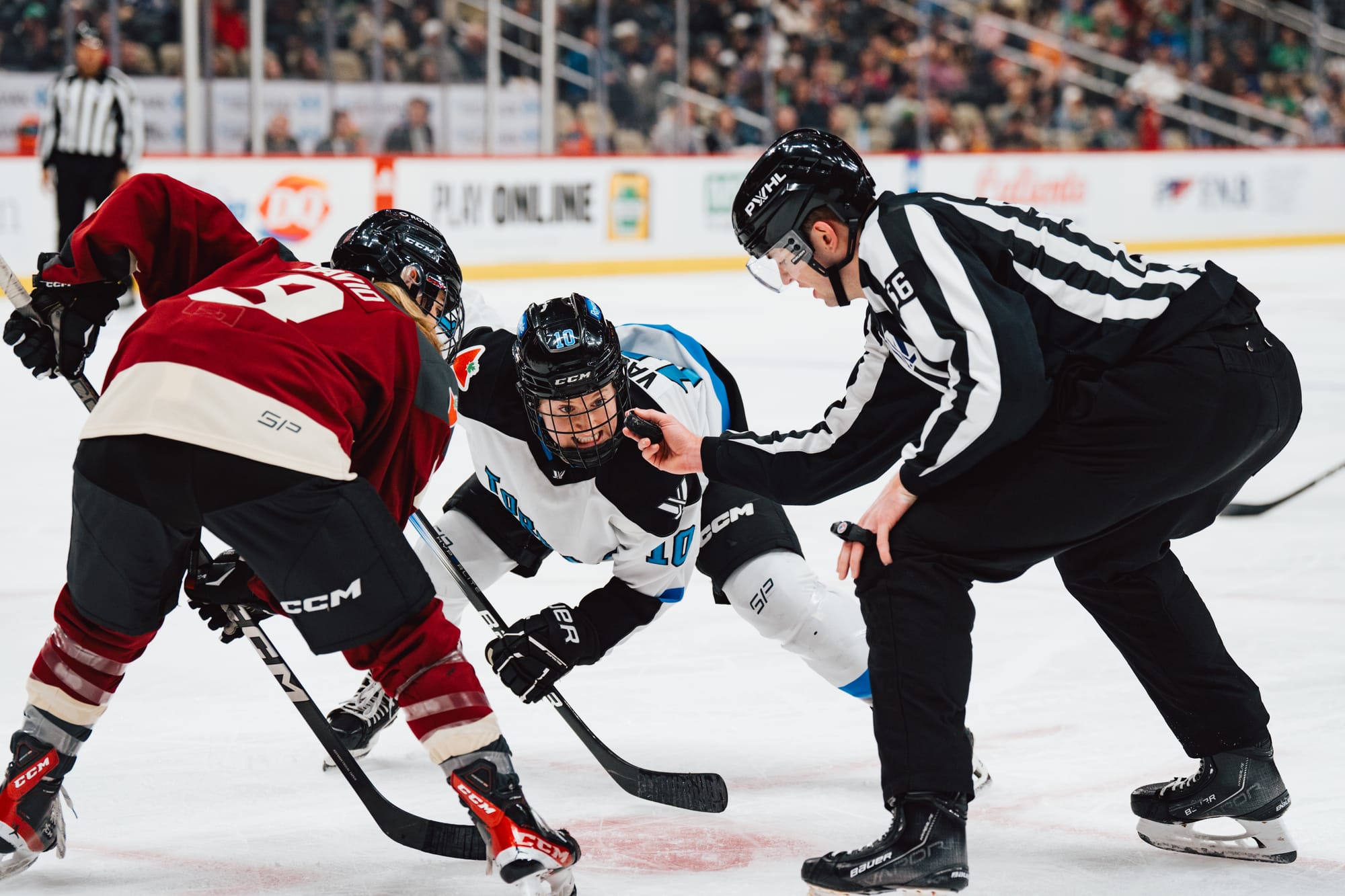 Alex Vasko lines up for the faceoff with a focused, clenched-teeth smile. Gabrielle David is on the other side of the dot, while the ref is to their left about the drop the puck. Vasko is in white, while David is in maroon.