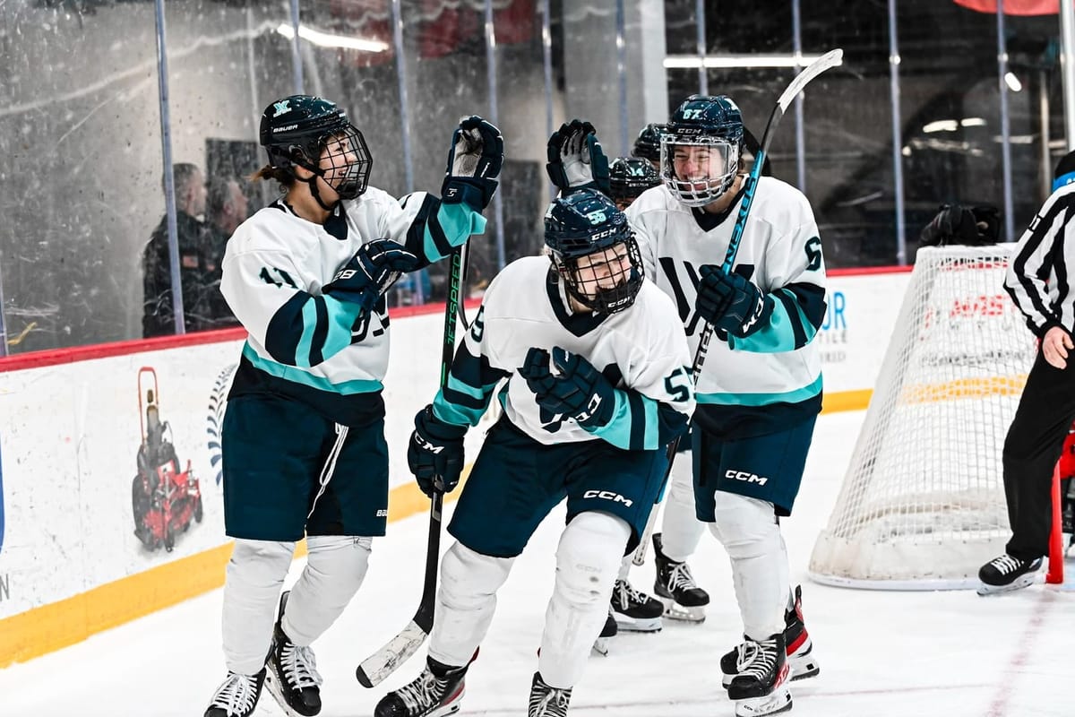23-24 PWHL Preview: New York