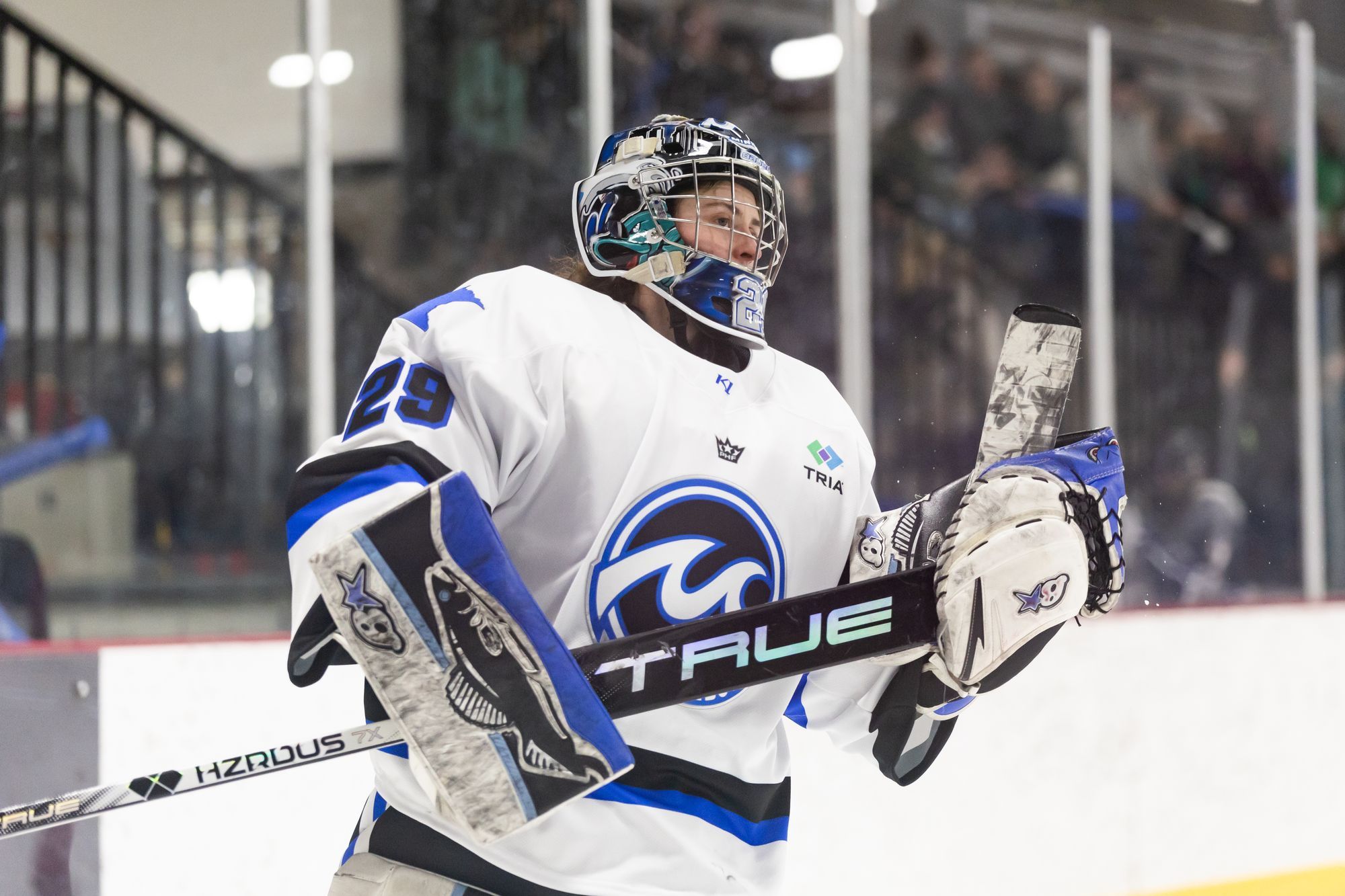 Minnesota Whitecaps AllTime PHF Starting Roster