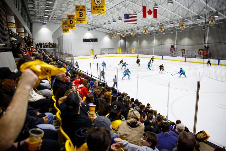 Wicked Angles: Five years later, does women’s hockey need men’s hockey? The answer is still no