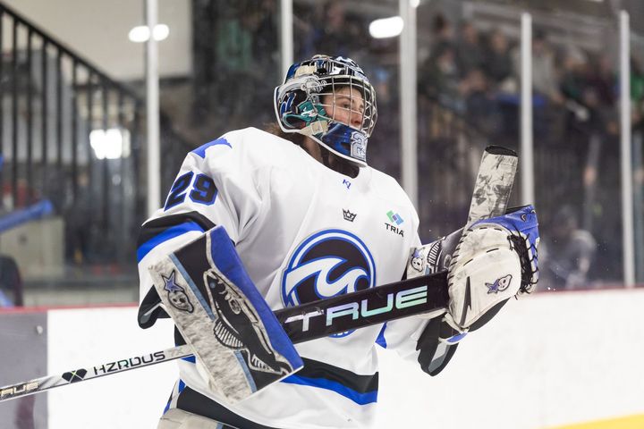 Minnesota Whitecaps: All-Time PHF Starting Roster