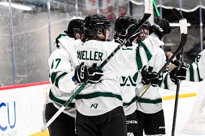 PWHL Boston players celebrate after a goal.